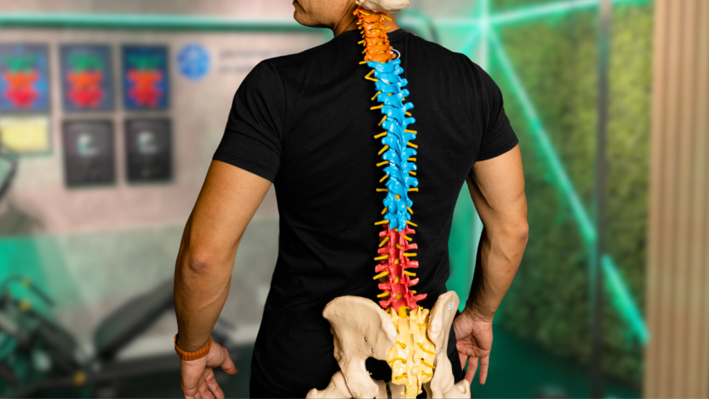 Desvendando a Epidemia de Hérnia de Disco em 2023