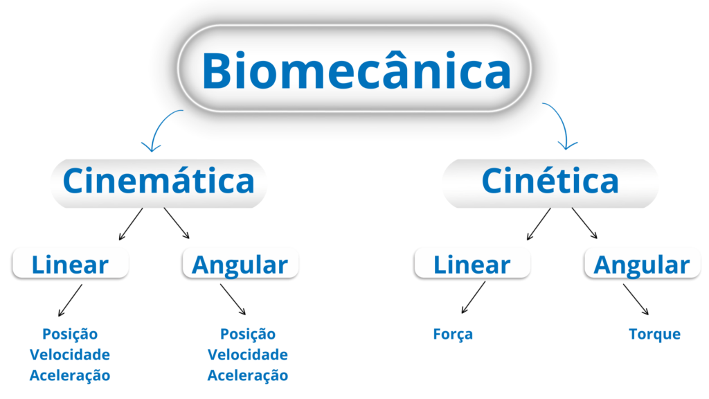 biomecânica